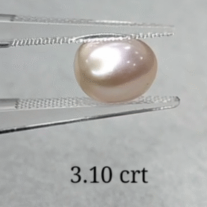 PEARL (KESHI MOTI)3.10 CRT (60/-PER CRT)