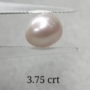 PEARL (KESHI MOTI)3.75 CRT (60/-PER CRT)